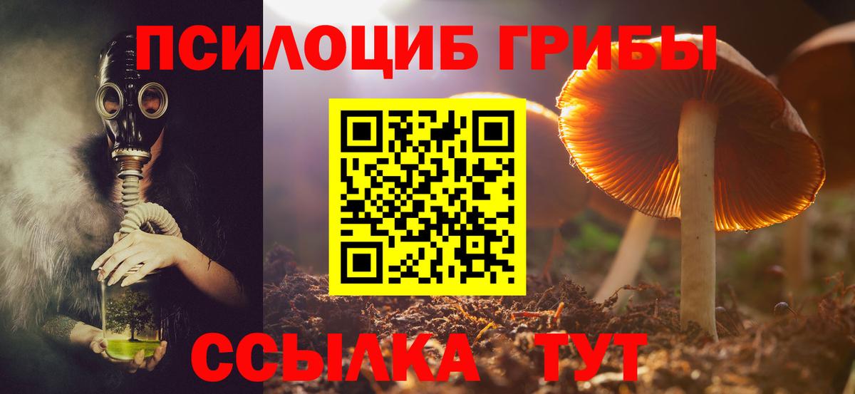Псилоцибиновые грибы MAGIC MUSHROOMS  Псилоцибиновые грибы MAGIC MUSHROOMS  как найти закладки  Видное  Вход с VPN 